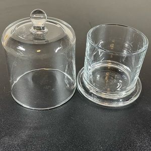 Glass Cloche/ Bell Jar